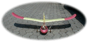 Wingo