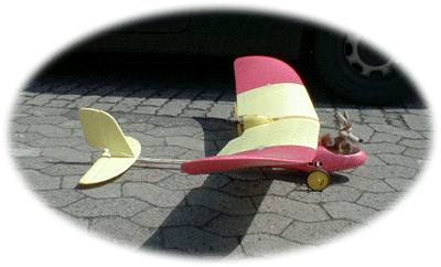 Wingo